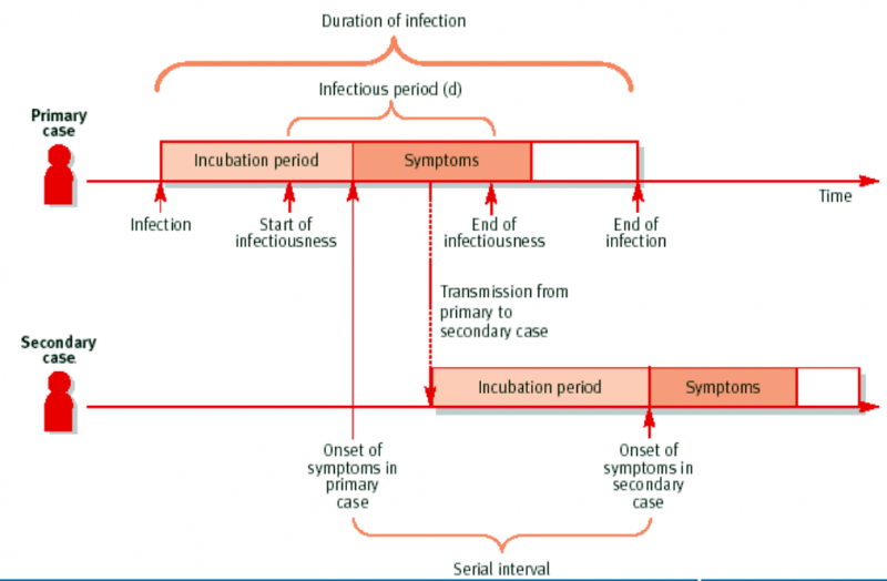 Datei:Serial Interval.png